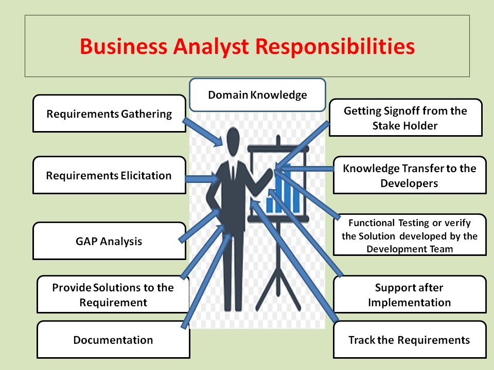 Infographic comparing data analyst vs business analyst roles, career paths, and required technical skills.