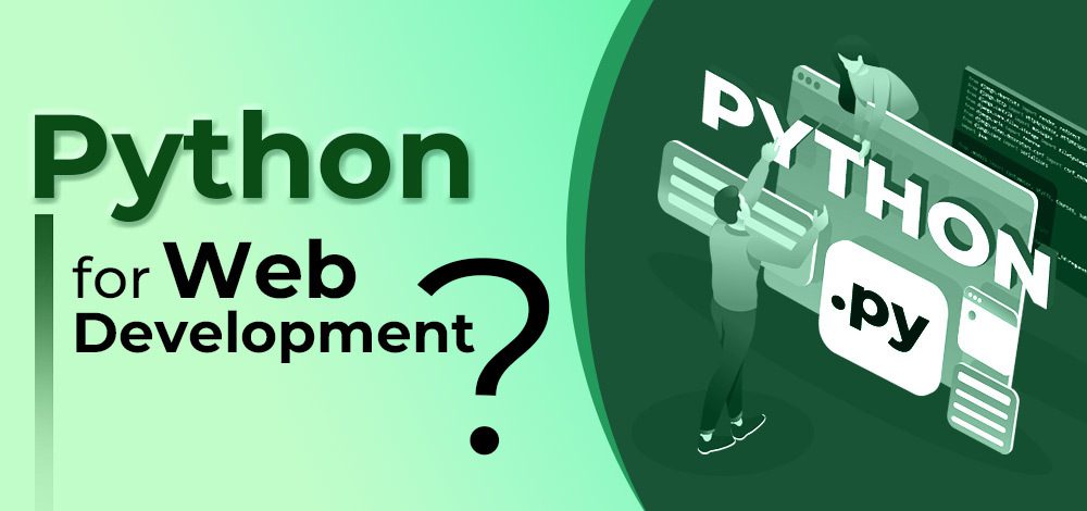 Python web developer coding on laptop