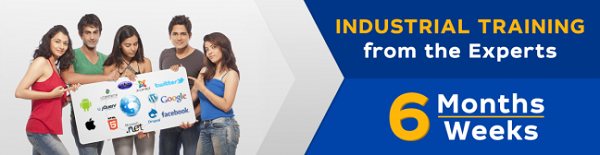 six months industrial training in ludhiana
