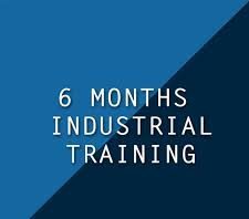 6 Months Industrial Training in Punjab The Core Systems