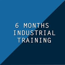 6 Months Industrial Training in Punjab The Core Systems