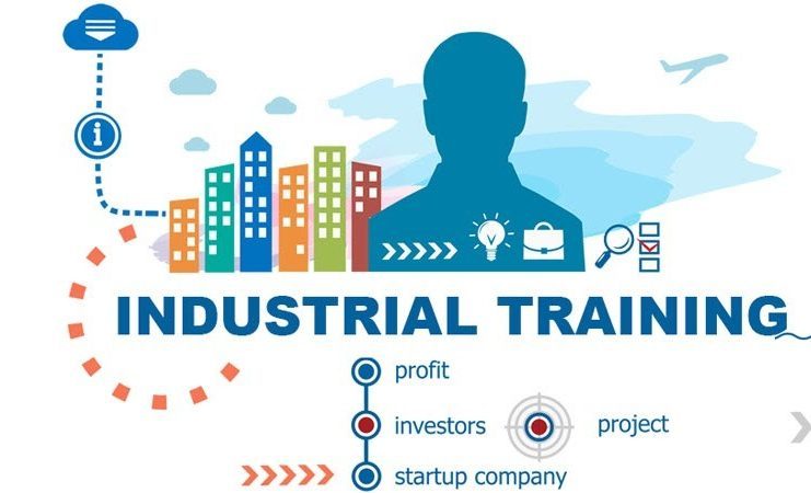 6 Months Industrial Training by The Core Systems.